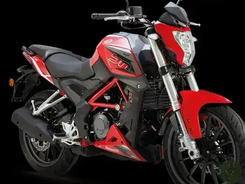 Benelli BN 251 Technical Specifications and Details