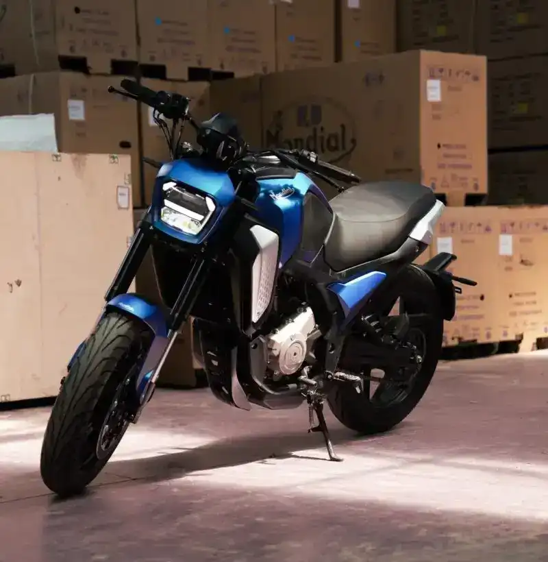 Specifiche tecniche e dettagli di F.B MONDIAL FLEX 300